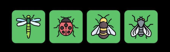 FLIES Daily Combo 15 April 2025